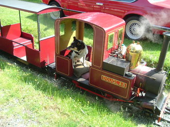 Conwy Valley Railway Museum photo