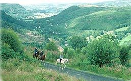 Gwydyr Stables Riding & Trekking Stables