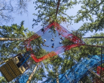 Zip World Fforest photo