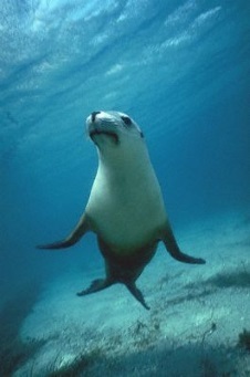 Welsh Mountain Zoo - National Zoo of Wales